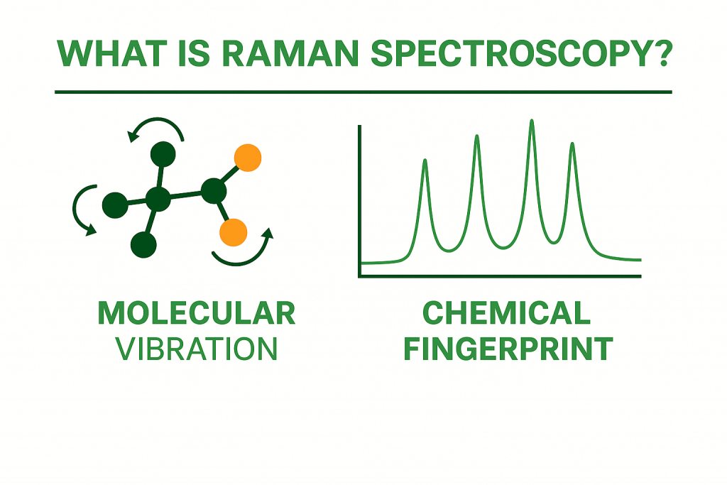 ELODIZ Introduction to Raman Spectroscopy - Dummies Edition
